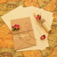 复古干花告情书浪漫文艺唯美套装爱心形古风信纸信封表白信笺|10朵红康乃馨+10信封+20信纸