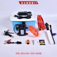 双泵车载洗车器12V高压便携式家用220V大功率洗车机洗车水 综合版套餐Z2