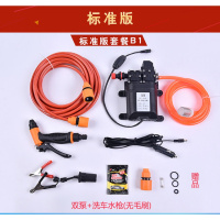 双泵车载洗车器12V高压便携式家用220V大功率洗车机洗车水 标准版套餐B1