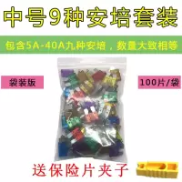 汽车保险片大货车保险丝插片电动车三轮车摩托车用12V24V32V通用 中号5-40A套装100片[袋装版]