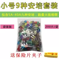 汽车保险片大货车保险丝插片电动车三轮车摩托车用12V24V32V通用 小号5-40A套装200片【袋装版】