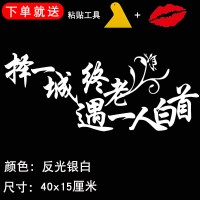 汽车贴纸创意文字改装个红反光抖音划痕遮挡后玻璃励志车身贴 深灰色遇一人40银白