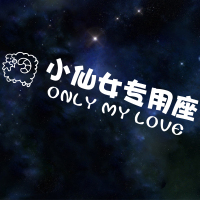 女神专用座车贴副驾驶个性创意文字定制车贴小仙女老婆专用坐车贴 白羊座20CM