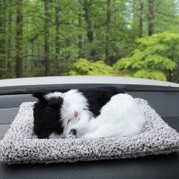 竹炭包汽车用活性炭仿真狗碳包新车除异味除甲醛车内用品除味剂 纳米活性炭包[黑白猫咪标准]