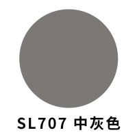 汽车内饰翻新塑料漆板仪表台中控工作台补漆改装改色自喷漆 200ML单罐中灰色