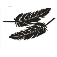 创意汽车贴纸 车身遮挡划痕贴花 个性防水保险杠车装饰车贴 羽毛[14*5cm]黑色