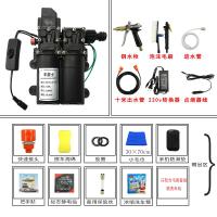 12v洗车水泵 小型车载洗车机220v高压水家用便携式洗车器刷车 双泵套餐10(铜枪豪华版)