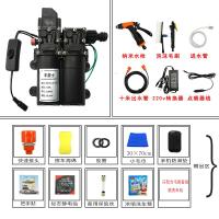 12v洗车水泵 小型车载洗车机220v高压水家用便携式洗车器刷车 双泵套餐12(纳米枪豪华版)