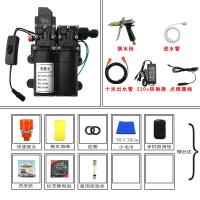 12v洗车水泵 小型车载洗车机220v高压水家用便携式洗车器刷车 双泵套餐14(铜枪标配+转换器)