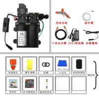 12v洗车水泵 小型车载洗车机220v高压水家用便携式洗车器刷车 双泵套餐15(泡沫枪标配+转换器)