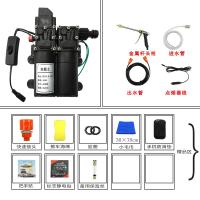 12v洗车水泵 小型车载洗车机220v高压水家用便携式洗车器刷车 双泵套餐一(长枪标配)