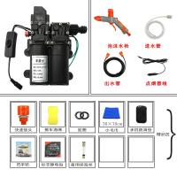 12v洗车水泵 小型车载洗车机220v高压水家用便携式洗车器刷车 双泵套餐三(泡沫枪标配)