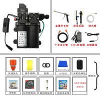 12v洗车水泵 小型车载洗车机220v高压水家用便携式洗车器刷车 双泵套餐九(长枪豪华版)