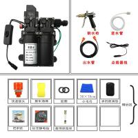 12v洗车水泵 小型车载洗车机220v高压水家用便携式洗车器刷车 双泵套餐二(铜枪标配)