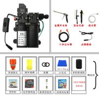 12v洗车水泵 小型车载洗车机220v高压水家用便携式洗车器刷车 双泵套餐五(长枪标配+毛刷)