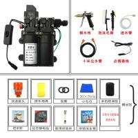 12v洗车水泵 小型车载洗车机220v高压水家用便携式洗车器刷车 双泵套餐六(铜枪标配+毛刷)