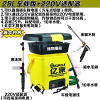 洗车器 高压便携车载家用12v刷车泵水工具套装 洗车机 25L车载版+220V适配器