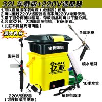 洗车器 高压便携车载家用12v刷车泵水工具套装 洗车机 32L车载版+220V适配器