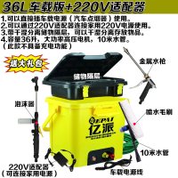 洗车器 高压便携车载家用12v刷车泵水工具套装 洗车机 36L车载版+220V适配器