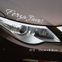 尤文图斯车贴侧油箱盖车身拉手灯眉后视镜后玻璃装饰汽车贴纸 灯眉贴反光白