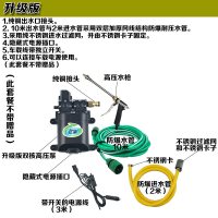 洗车器双泵高压便携车载水工具家用12v刷车泵机套装 升级版