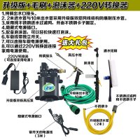 洗车器双泵高压便携车载水工具家用12v刷车泵机套装 升级版+毛刷+泡沫器+转换器