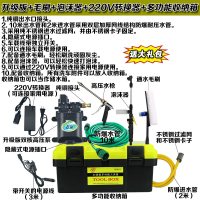 洗车器双泵高压便携车载水工具家用12v刷车泵机套装 升级版+毛刷+泡沫器+转换器+箱