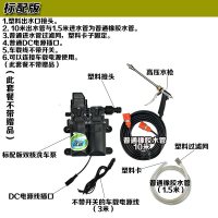 洗车器双泵高压便携车载水工具家用12v刷车泵机套装 标配版