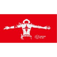 动漫卡通海贼王车划痕装饰贴后挡风玻璃个性纪念艾斯汽车贴纸 30*13cm白色