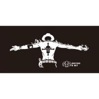 动漫卡通海贼王车划痕装饰贴后挡风玻璃个性纪念艾斯汽车贴纸 50cm*22白色