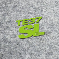 TE37SL轮毂装饰反光防水车贴荧光色改装车个性轮毂条幅汽车贴纸 te37荧光绿字4个