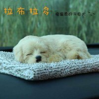 汽车车内装饰用品大全2019款卡通可爱小狗狗汽车用竹炭包摆件净化 大号拉布拉多