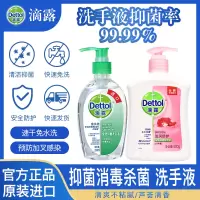 免洗洗手液松木200ml按压型瓶装儿童家用进口便携抑菌免水洗 免洗松木200ml