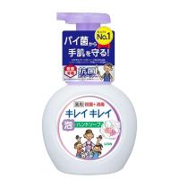 日本进口趣净 全植物儿童泡沫洗手液 淡香型 250ml 净化皮肤 健康抑菌 全植物花香型