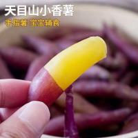 金手指5斤 临安天目山小香薯 粉糯香甜  辅食红薯地瓜新鲜蔬菜