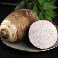 精选9斤大芋头(约5-9个) 芋头槟榔香芋毛芋条农家蔬菜新鲜现挖非小香芋