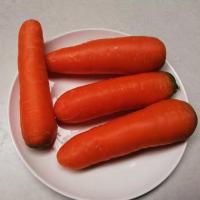 净重5斤(小果)新鲜胡萝卜新鲜蔬菜沙地水果红萝卜现挖农家自种胡萝卜