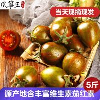 迷彩小番茄圣女果5斤 新鲜小西红柿子水果海南千禧蔬菜