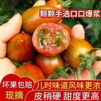 迷彩小番茄圣女果4斤 新鲜小西红柿子水果千禧蔬菜