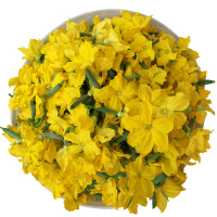 黄瓜花青瓜花一份净重3斤新鲜蔬菜沙拉特菜凉拌清炒