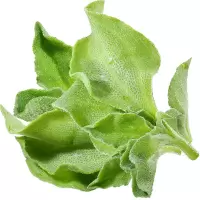 冰草新鲜蔬菜食用冰菜2斤即食生吃蔬菜沙拉食材水晶冰菜新鲜