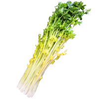 平度 芹菜空心芹菜特产大叶黄玻璃脆4斤新鲜蔬菜