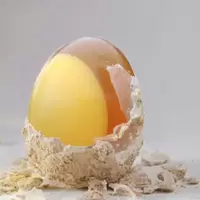 10枚 鸡蛋变蛋皮蛋松花蛋破损包赔