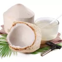 椰青新鲜特产椰子9个大果装水果