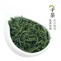 六安瓜片2020新茶雨前茶绿茶散装安徽金寨特产茶罐装茶叶120g