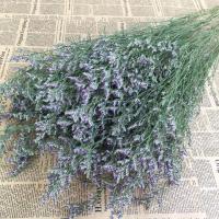 情人草配草一束 基地直发真花水养鲜花花束香水百合批发玫瑰家用速递同城