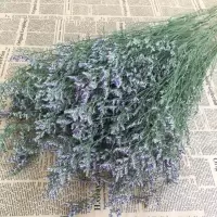 情人草配草一束 基地直发真花水养鲜花花束香水百合批发玫瑰家用速递同城