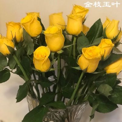 黄百合8枝+送2枝(防损耗) 云南昆明基地直发真花水养鲜花花束香水百合批发玫瑰家用速递同城