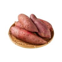 [百果园店]红薯六鳌红心蜜薯(中)5斤 粥番薯地瓜新鲜蔬菜
