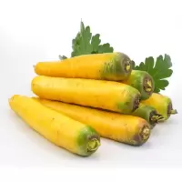 5斤 黄心胡萝卜 新鲜蔬菜农家自种带泥黄胡萝卜手抓饭用